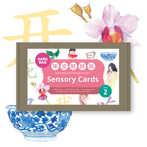 Mandarin Sensory Cards Level 2